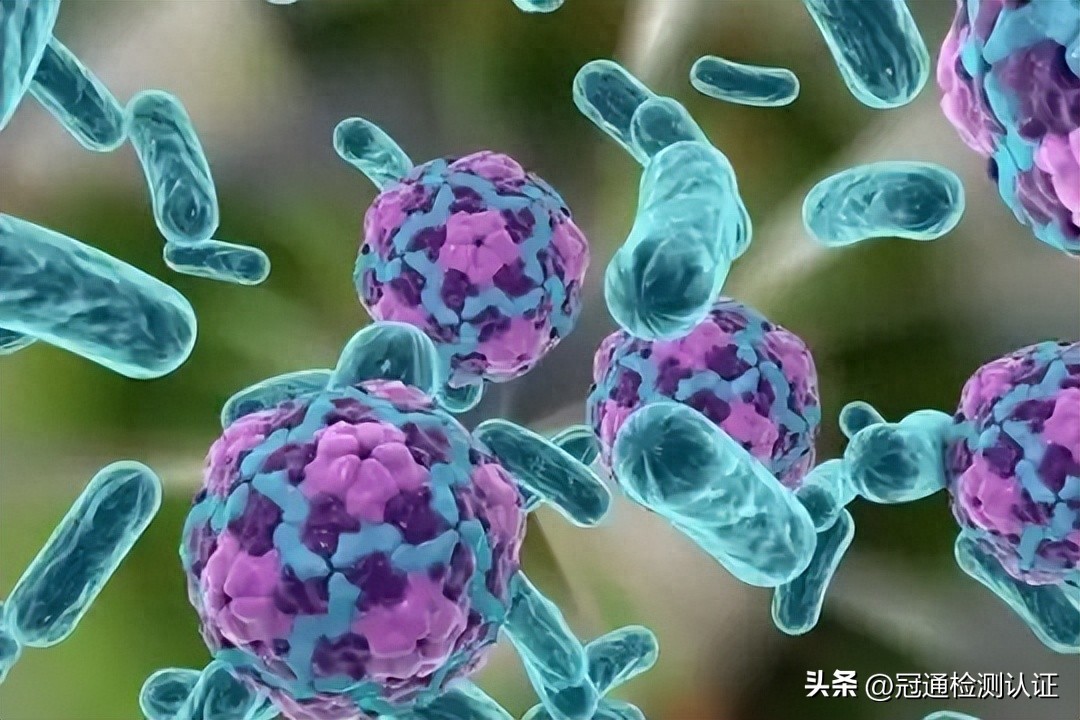 微生物检测，微生物检测有哪些标准规范？