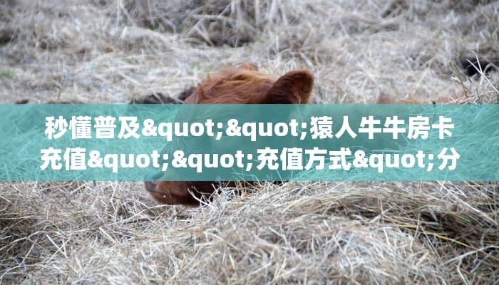 秒懂百科""微信牛牛房间链接/大众互娱大厅房卡哪里弄""低价获取"!’分享房卡给大家
