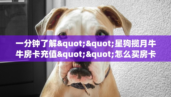 一分钟了解""星狗揽月牛牛房卡充值""怎么买房卡‘房卡充值教程