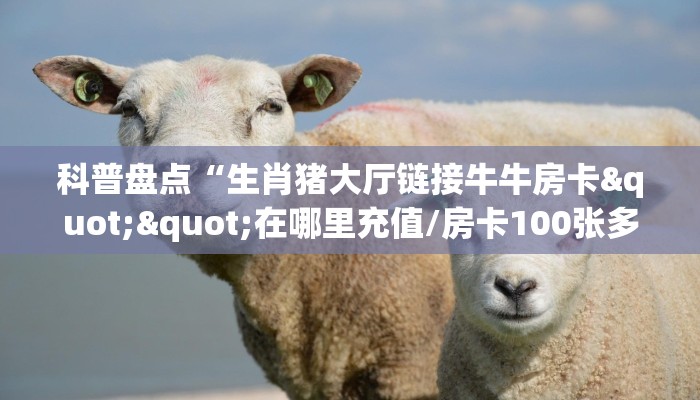 秒懂百科""新七喜大厅链接金花房卡""购买渠道！房卡充值详细教程