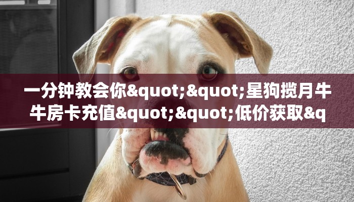 玩家必备教程""微信金花房间新果汁房卡充值游戏代理”详细房卡教程-知乎