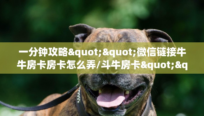 一分钟攻略""微信链接牛牛房卡房卡怎么弄/斗牛房卡""怎么弄房卡"详细步骤分享!!! 一分钟攻略""微信链接牛牛房卡房卡怎么弄/斗牛房卡""怎么弄房卡"详细步骤分享!!!