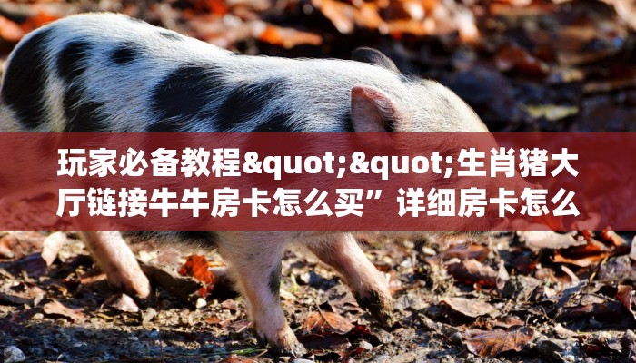 玩家必备教程""玉兔微信牛牛链接房卡充值""购买渠道！房卡充值详细教程