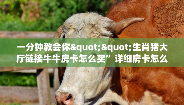 9秒了解""贝塔链接大厅房卡充值""充值方式"分享房卡给大家
