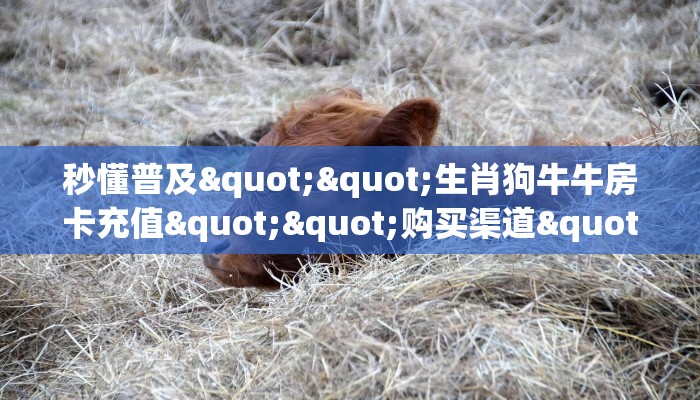 3秒了解分享""豌豆互娱大厅链接牛牛房卡""购买联系方式"房卡充值教程-知乎