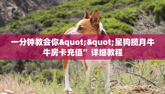 玩家必备教程""天鹰座金花房卡充值""哪里弄房卡怎么充值才优惠？？