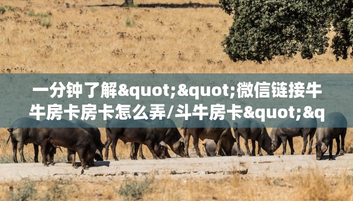 一分钟了解""微信链接牛牛房卡房卡怎么弄/斗牛房卡""怎么弄房卡"详细步骤分享！！！