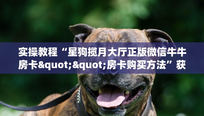 实操教程“星狗揽月大厅正版微信牛牛房卡""房卡购买方法”获取教程房卡使用方式