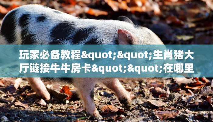 玩家必备教程""生肖猪大厅链接牛牛房卡""在哪里可以拿到链接，充房卡