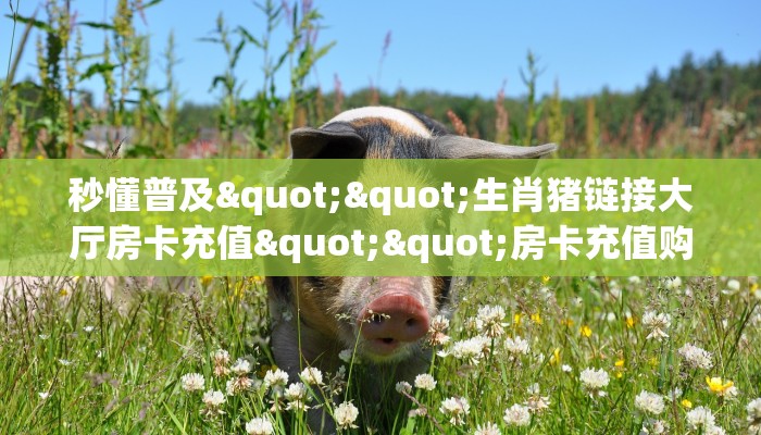 秒懂普及""生肖猪链接大厅房卡充值""房卡充值购买”详细房卡教程